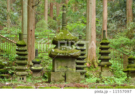 上田散歩・重文石造多宝塔　常楽寺　別所温泉 11557097