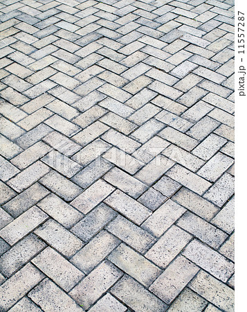 公園のブロック舗装 11557287