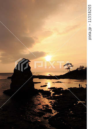 秋谷の立石 11558205