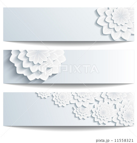 Set of beautiful banners with 3d chrysanthemum 11558321