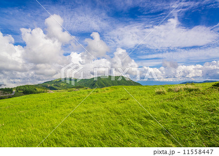 初夏の美ヶ原 11558447