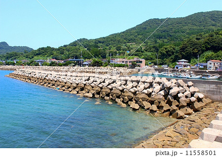 テトラポッドがある海岸風景 テトラポッドがある海岸風景 11558501