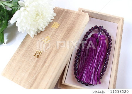 御念珠 11558520