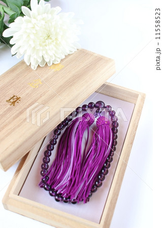 御念珠 11558523