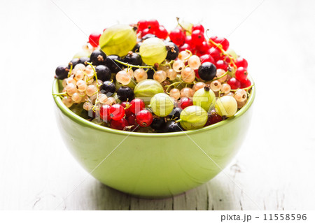 Currants and gooseberry Currants and gooseberry 11558596