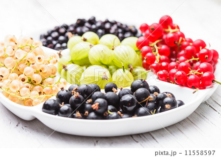 Currants and gooseberry 11558597