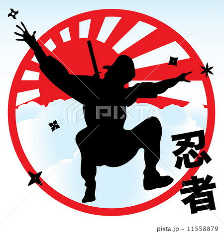 Ninja 11558879