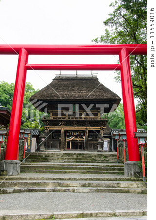 青井阿蘇神社 11559016