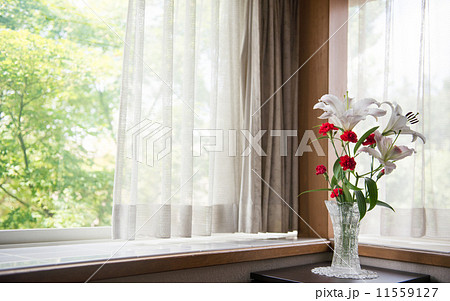 窓際の緑と花 窓際の緑と花 11559127