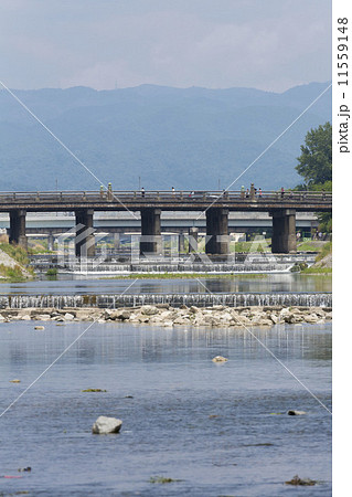 三条大橋と鴨川 三条大橋と鴨川 11559148