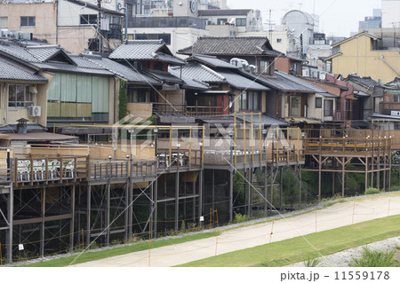 鴨川の納涼床 11559178
