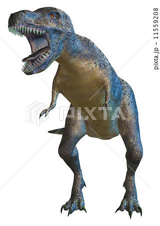 T-REX☆ティラノサウルス 11559208