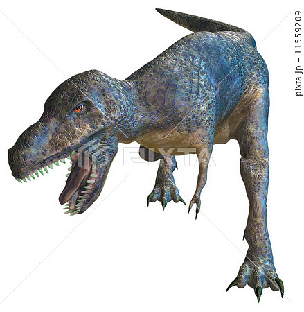 T-REX☆ティラノサウルス 11559209