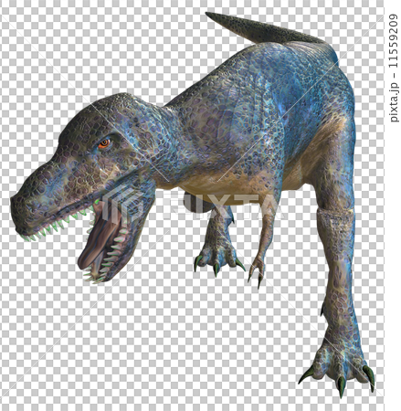 T-REX☆ティラノサウルス 11559209