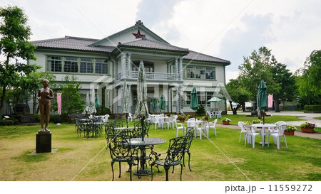 信州中野のビアガーデン 11559272