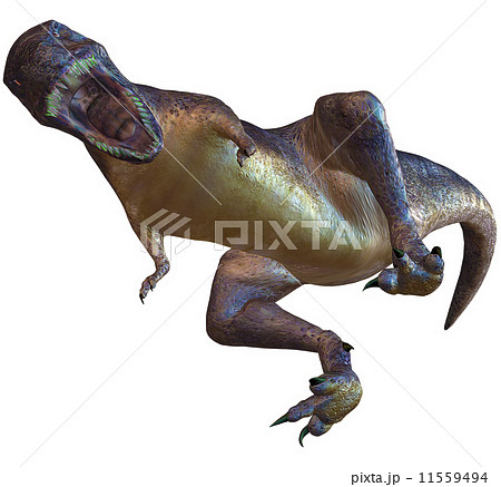 T-REX☆ティラノサウルス T-REX☆ティラノサウルス 11559494