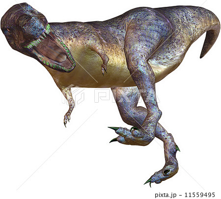 T-REX☆ティラノサウルス 11559495