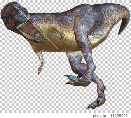 T-REX☆ティラノサウルス 11559495