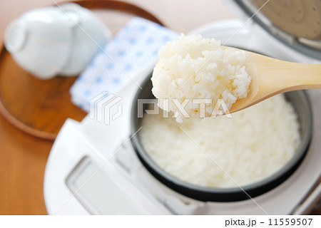 炊飯器 炊飯器 11559507