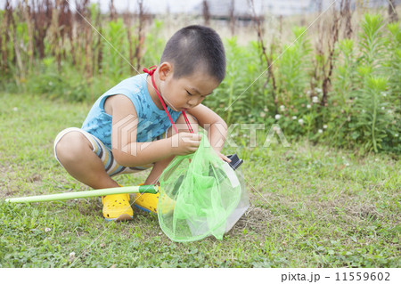 昆虫採集する子供 昆虫採集する子供 11559602