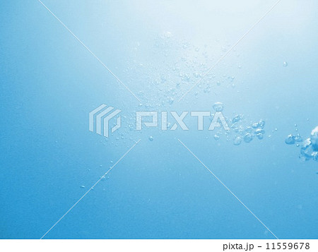 泡 泡 11559678