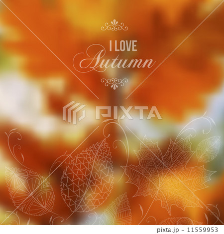 Autumn abstract blurred vector background 11559953