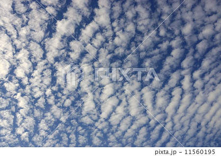 ひつじ雲 11560195