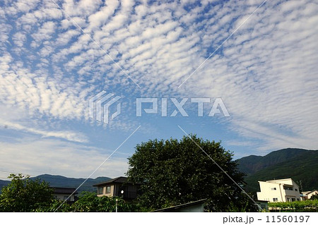 ひつじ雲 11560197