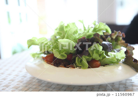 ceacar salad in close up 11560967