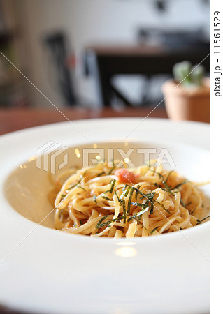 Japanese pasta Mentaiko spaghetti 11561529