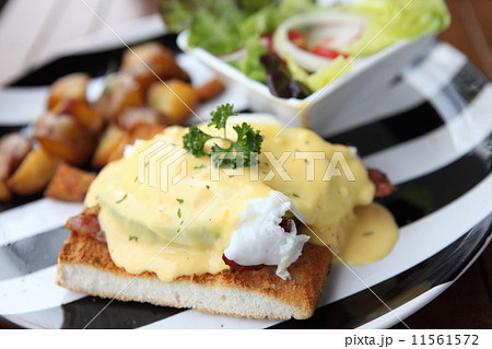 egg benedict 11561572