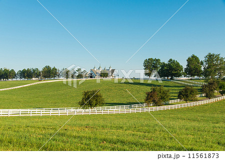 Countryside 11561873