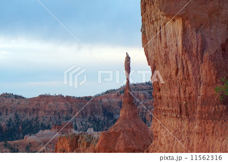 朝日を受けるブライスキャニオン１ 11562316