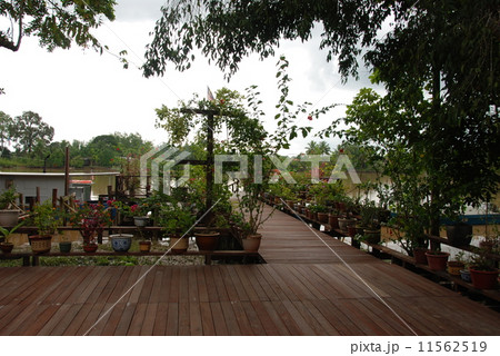 ジャングルの中の船着き場（スカウ川／東マレーシア･ボルネオ島） 11562519