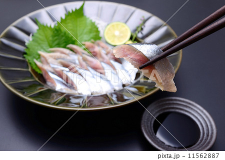 さんま刺身 11562887