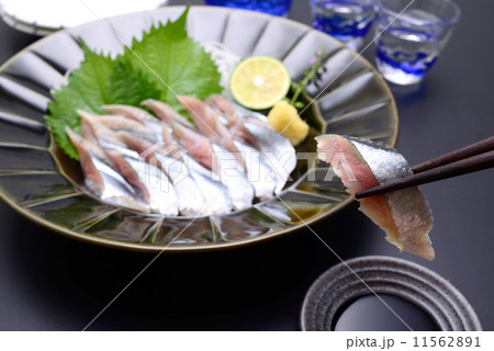 さんま刺身 11562891