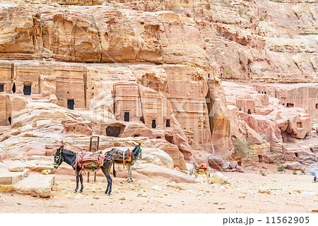 ロクリ(ヨルダン、ペトラ遺跡) ロクリ(ヨルダン、ペトラ遺跡) 11562905