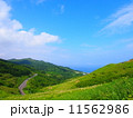 草原を走る 11562986