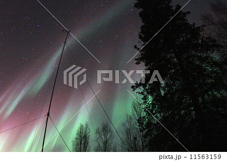 アラスカのオーロラ アラスカのオーロラ 11563159