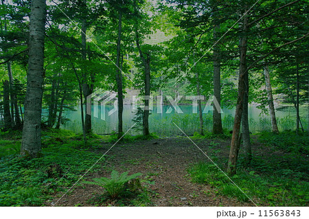 ブルーウォーター IMG_8428 ブルーウォーター IMG_8428 11563843