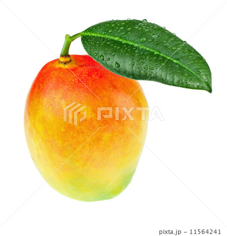Fresh mango fruit with green leaves isolated on white background 11564241