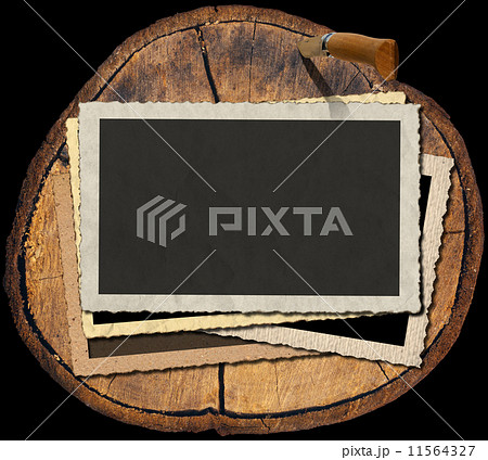 Vintage Photo Frames on Section of Tree Trunk 11564327