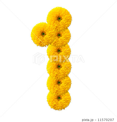 decimal cipher of flowers 11570207
