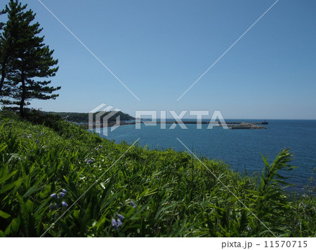 夏の日本海 夏の日本海 11570715