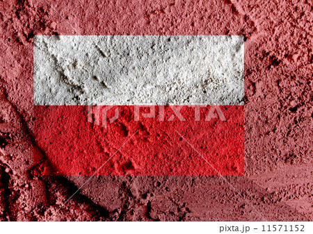 Poland Flag 11571152