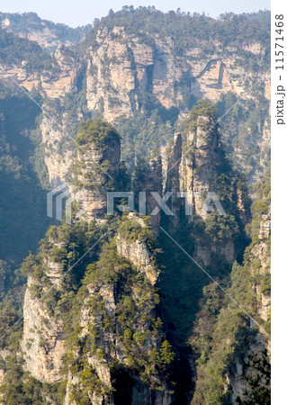 Zhangjiajie National forest park Zhangjiajie National forest park 11571468