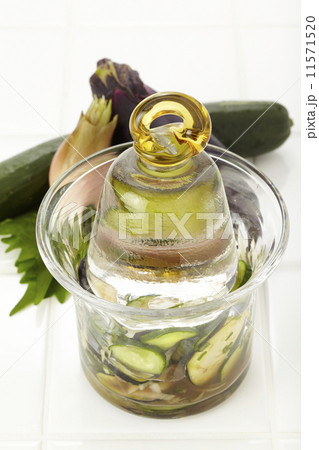 浅漬け作り 11571520