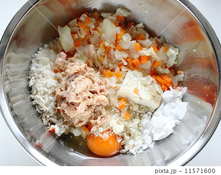 料理 11571600