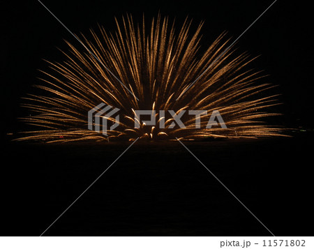 鎌倉花火大会 鎌倉花火大会 11571802