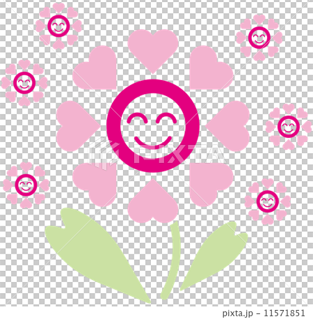 花と笑顔 花と笑顔 11571851